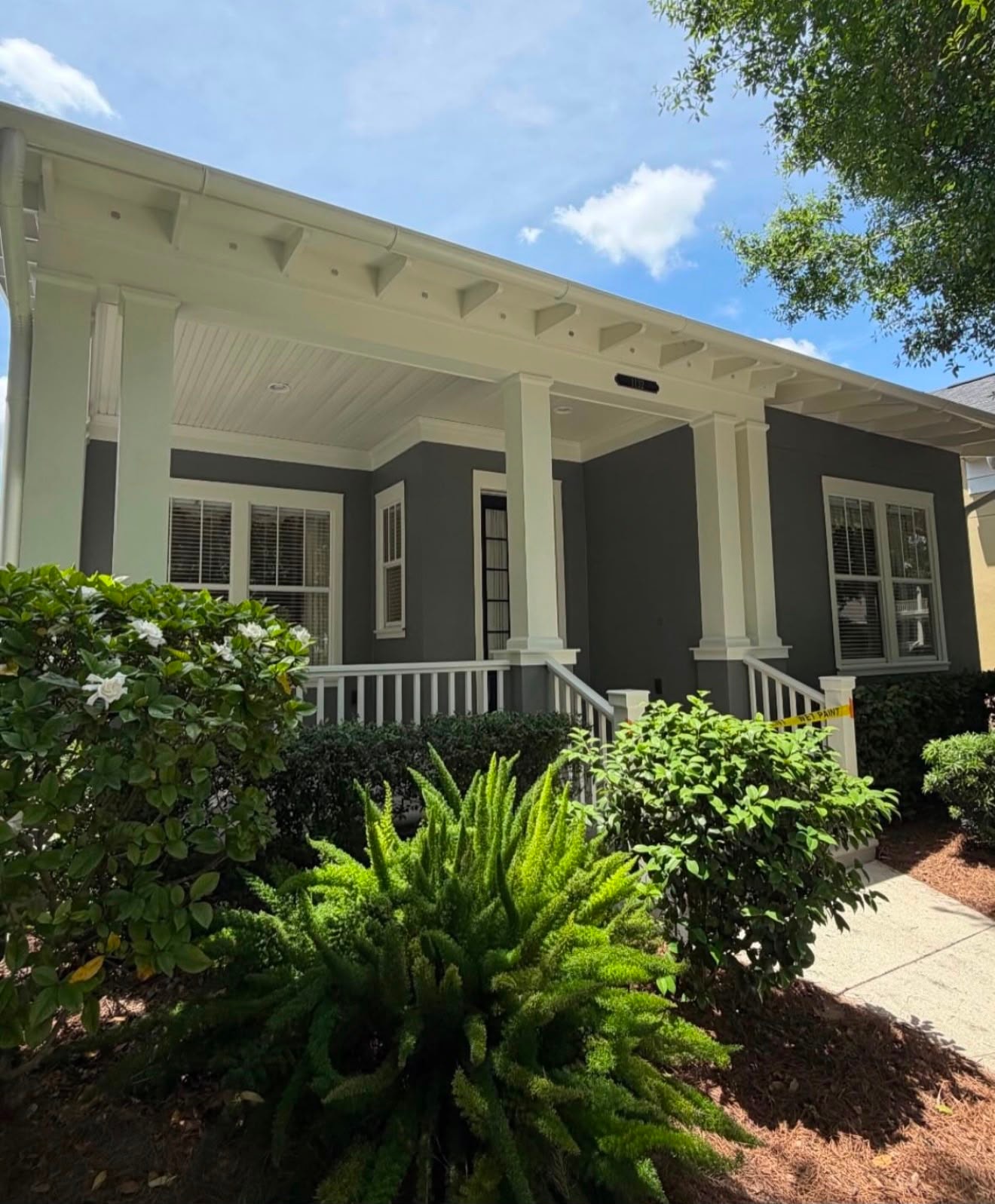 Farmhouse style home painting