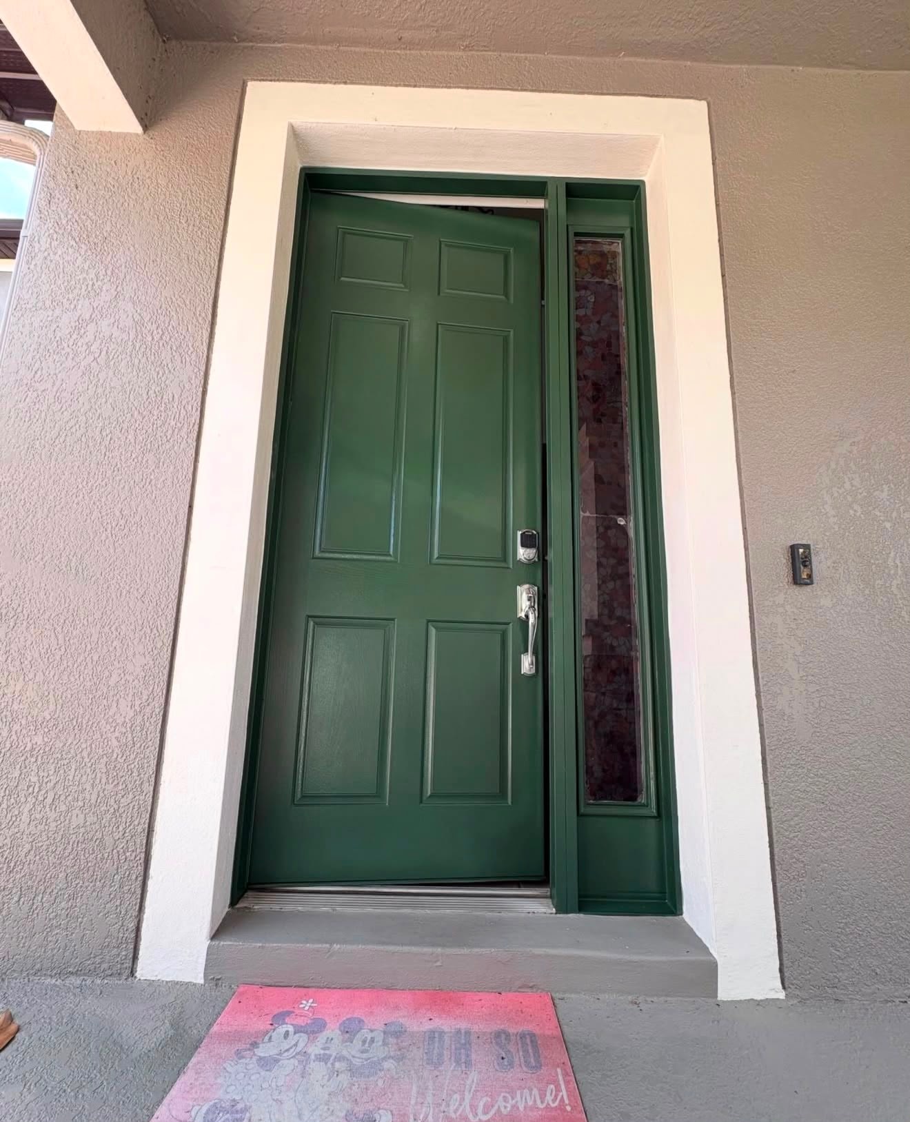 Door painting project